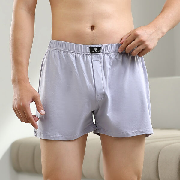 Men's Loose Plus Size Modal Cotton Boxers - Image 2