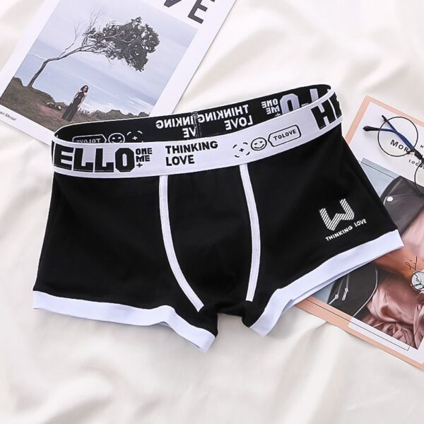 Underwear Men's Summer Youth Casual - Image 4