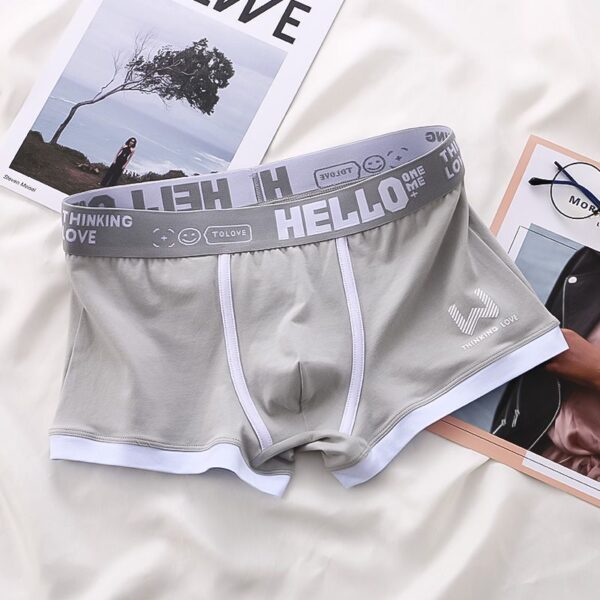 Underwear Men's Summer Youth Casual - Image 2